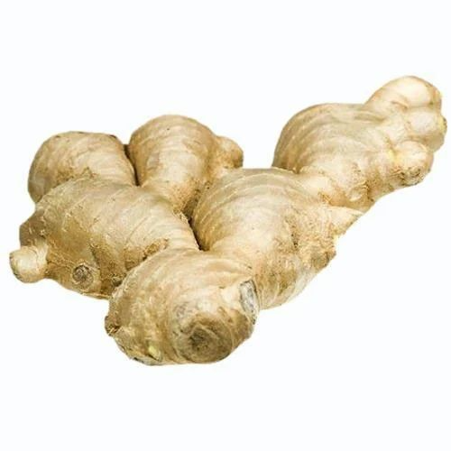 Ginger 160+ gms piece