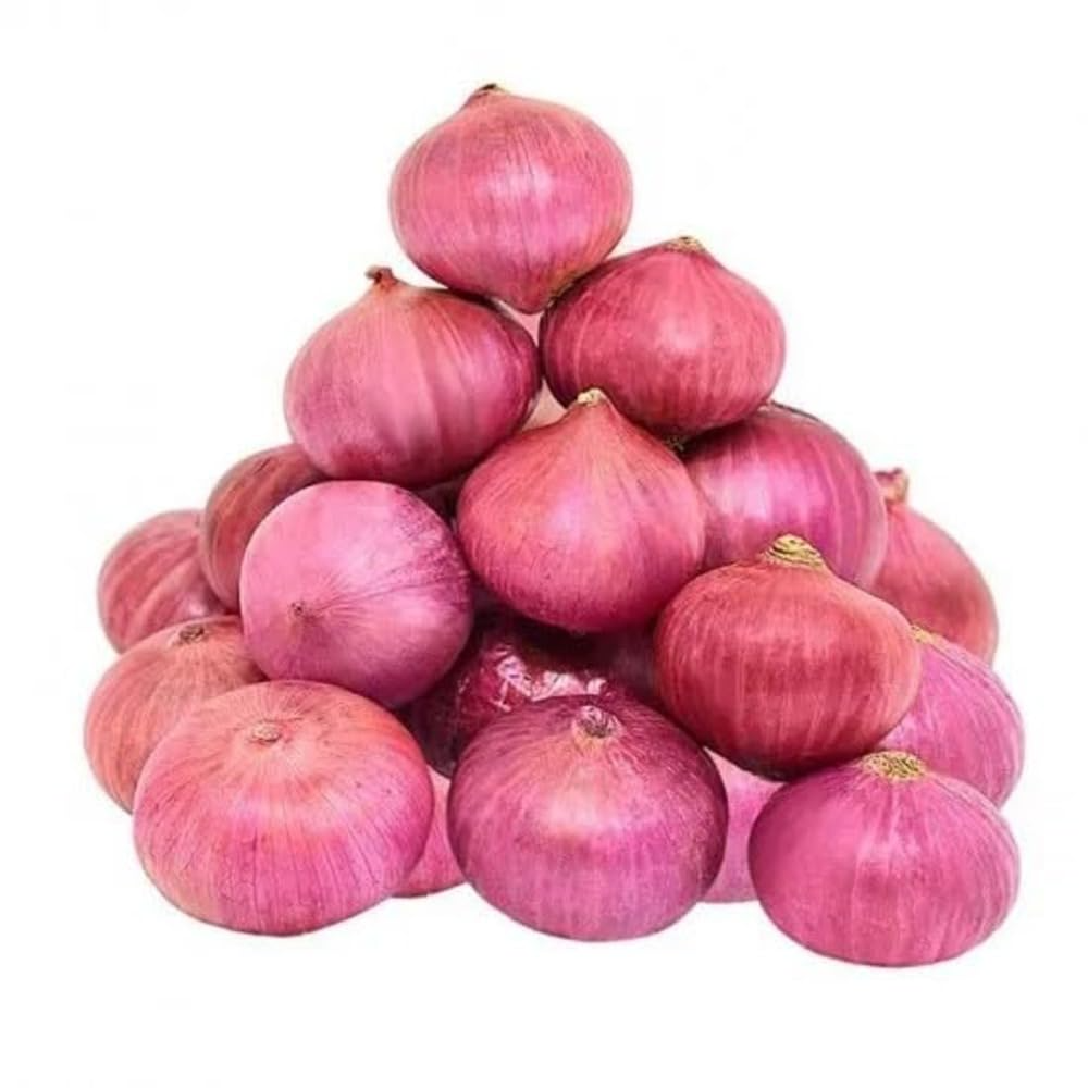Onion - Image 2